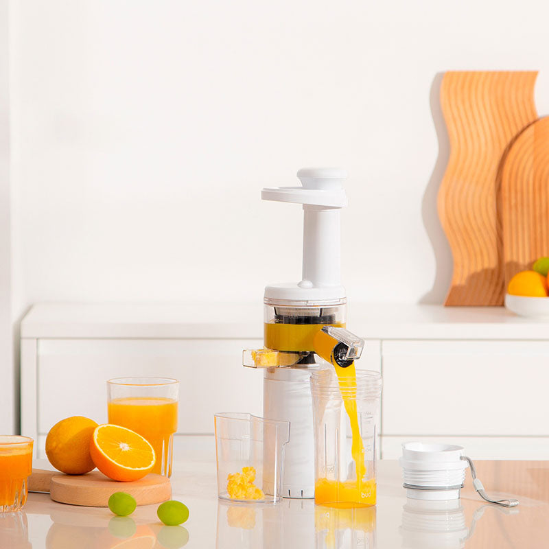 mini slow juicer