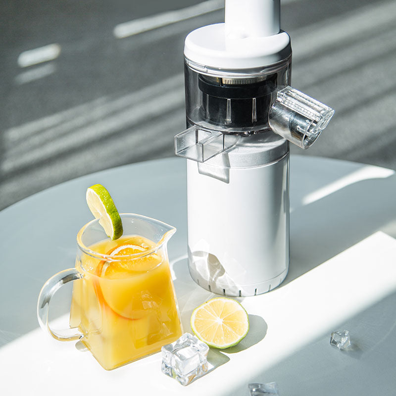 mini slow juicer