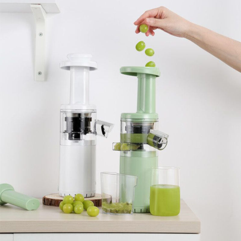 mini slow juicer