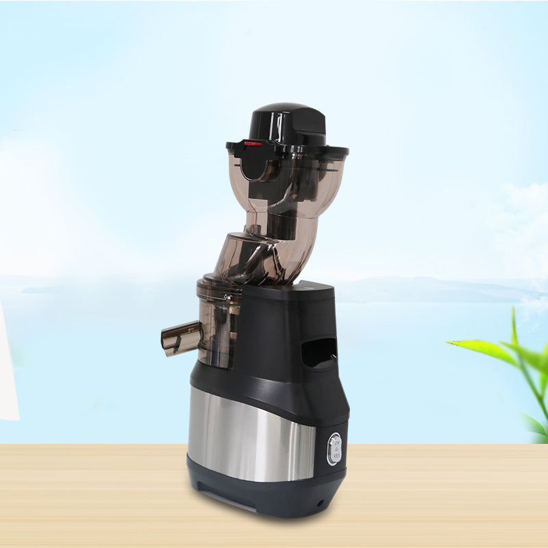 Whole slow masticating juicer